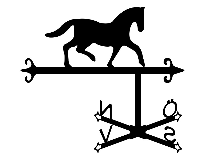 pl_fl_motiv_kompass_04